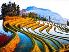 梯田