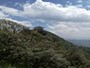 Monte di Tai Chi
